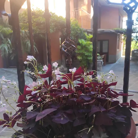 דירה Nedi's Nest - Cozy Countryside Retreat Under Palmtrees Dutovlje