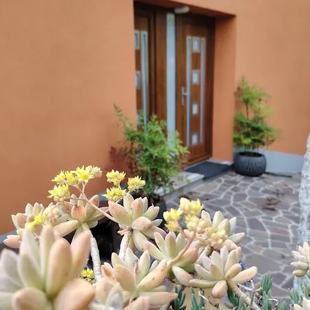 Nedi's Nest - Cozy Countryside Retreat Under Palmtrees * Dutovlje