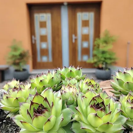 Nedi's Nest - Cozy Countryside Retreat Under Palmtrees * Dutovlje