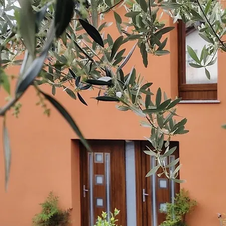 Nedi's Nest - Cozy Countryside Retreat Under Palmtrees Appartamento Dutovlje