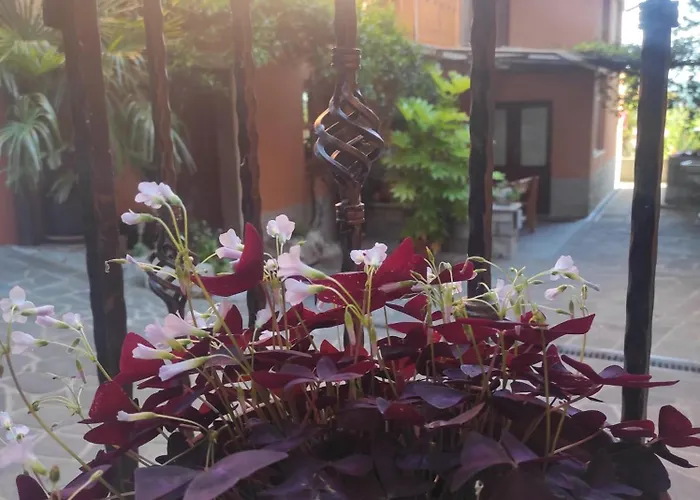 아파트 Nedi's Nest - Cozy Countryside Retreat Under Palmtrees Dutovlje