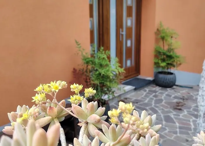 Nedi's Nest - Cozy Countryside Retreat Under Palmtrees * Dutovlje