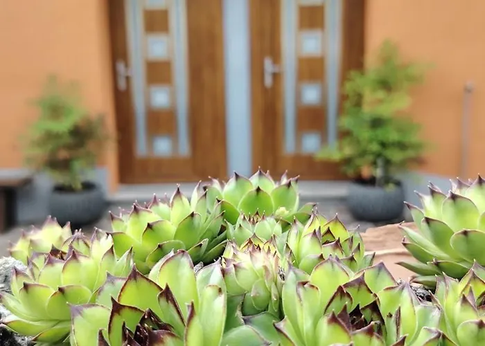 Nedi's Nest - Cozy Countryside Retreat Under Palmtrees * Dutovlje